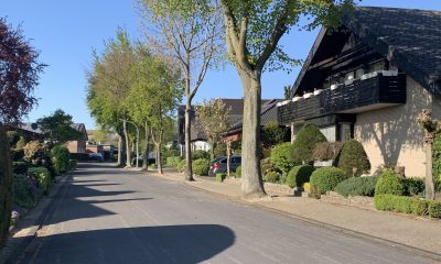 Buchenalle in Altenberge